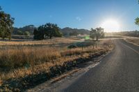 the sun sets over a grassy field behind the road and trees in the background as the sun is setting on the horizon