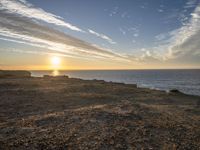 a horse stands on a rocky cliff overlooking the ocean at sunset with a dog in the foreground