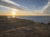 a horse stands on a rocky cliff overlooking the ocean at sunset with a dog in the foreground