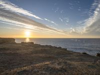 a horse stands on a rocky cliff overlooking the ocean at sunset with a dog in the foreground