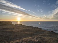 a horse stands on a rocky cliff overlooking the ocean at sunset with a dog in the foreground