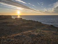 a horse stands on a rocky cliff overlooking the ocean at sunset with a dog in the foreground