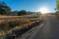 a road in the middle of a grassy field at sunset near some trees and a fence