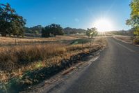 a road in the middle of a grassy field at sunset near some trees and a fence