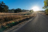 a road in the middle of a grassy field at sunset near some trees and a fence