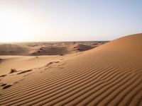 a sun setting behind a large sand dune in the desert in namibia, africa photo credit - scott korpos