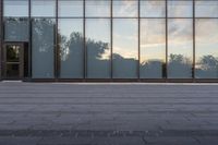 a sidewalk leading up to a glass walled building with trees in the background at sunset