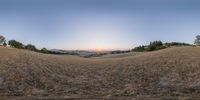 a sunset on a field with dry grass and trees in the background and no sky