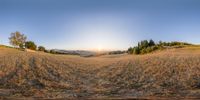 this is an outdoor 360 - view photo of a sunset over a valley with grass