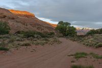 a dirt road surrounded by grass next to red rocks and mountains at sunset with trees and bushes on both sides