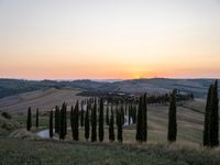 a sunset view shows the rolling hills in italy at dusk with cypress trees and grass