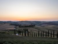 a sunset view shows the rolling hills in italy at dusk with cypress trees and grass