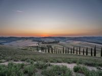 a sunset view shows the rolling hills in italy at dusk with cypress trees and grass