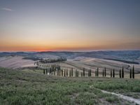 a sunset view shows the rolling hills in italy at dusk with cypress trees and grass