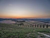 a sunset view shows the rolling hills in italy at dusk with cypress trees and grass