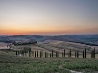 a sunset view shows the rolling hills in italy at dusk with cypress trees and grass