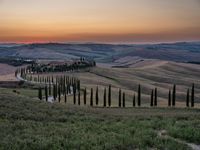 a sunset view shows the rolling hills in italy at dusk with cypress trees and grass