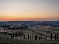 a sunset view shows the rolling hills in italy at dusk with cypress trees and grass