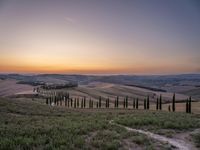 a sunset view shows the rolling hills in italy at dusk with cypress trees and grass