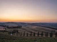 a sunset view shows the rolling hills in italy at dusk with cypress trees and grass