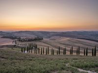 a sunset view shows the rolling hills in italy at dusk with cypress trees and grass