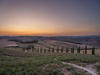 a sunset view shows the rolling hills in italy at dusk with cypress trees and grass