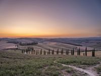 a sunset view shows the rolling hills in italy at dusk with cypress trees and grass