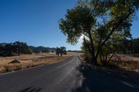 a country road in the middle of a wide open plain with trees in the middle