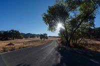 a country road in the middle of a wide open plain with trees in the middle