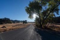 a country road in the middle of a wide open plain with trees in the middle