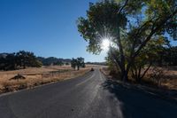 a country road in the middle of a wide open plain with trees in the middle