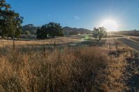 the sun is shining above a field of wild grass and weeds with dirt roads leading to it