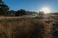 the sun is shining above a field of wild grass and weeds with dirt roads leading to it