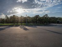 Sunshine at Edo Park, Tokyo, Japan