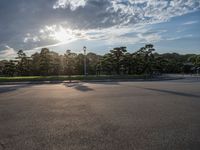 Sunshine at Edo Park, Tokyo, Japan