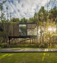 a modern, tree house built into the top of trees in a forest with lush grass and trees