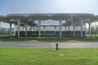 an artistic building with grass and an old fire hydrant in front of it and a blue sky