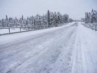 Sweden Snowy Road Tree Landscape 001