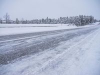 Sweden Winter Landscape: A Road Leading Through Snowy Trees