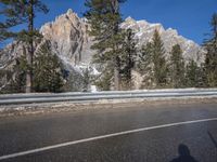 the road runs along a mountain with snow in the background and pine trees lining both sides of it