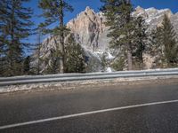 the road runs along a mountain with snow in the background and pine trees lining both sides of it