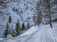 Swiss Alps Winter Landscape: Snowy Mountains (001)