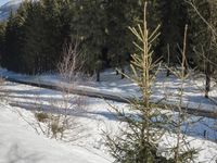 Swiss Mountain Range: A Snow-Covered Road
