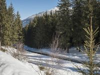 Swiss Mountain Range: A Snow-Covered Road