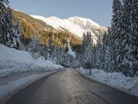 a road with a snow covered mountain and evergreen trees on each side on it at dusk