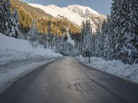 a road with a snow covered mountain and evergreen trees on each side on it at dusk