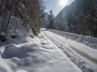 Switzerland Alps: Snow Covered Mountains and Forests - 001