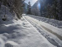 Switzerland Alps: Snow-Covered Mountains and Forests (002)