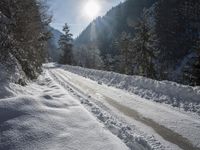 Switzerland: Snow-Covered Mountains and Forests in the Alps