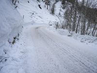 Switzerland Alps Tree Woody Plant Snow 004